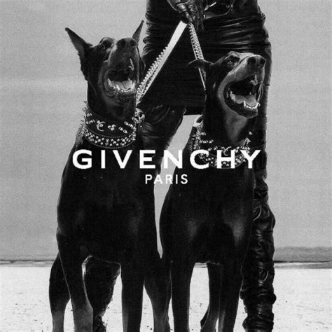 givenchy chien|Givenchy dog wallpaper.